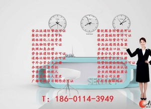 專業(yè)代理網(wǎng)絡(luò)文化經(jīng)營許可證審批 全面指南與實際操作